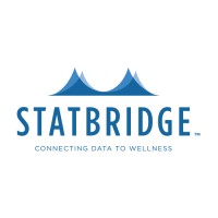 StatBridge Logo