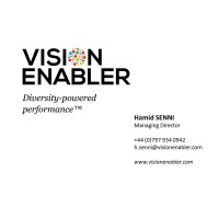 Vision Enabler Consulting Logo