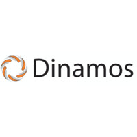 Dinamos - Case su misura Logo
