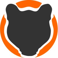 Ocelot Consulting Logo