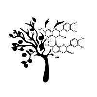 CiderAuction, LLC Logo