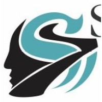 Seventh Sense Solutions Logo