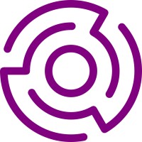 NetSection Security Logo