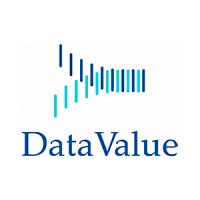 Data Value, LLC Logo