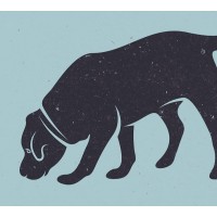 PAWORKS® - Animal Training & Behaviour Consulting Logo