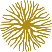 Stammkraft GmbH Logo