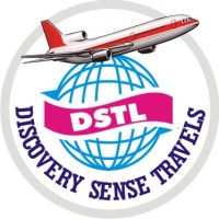Discovery Sense Travels And Logistics Logo