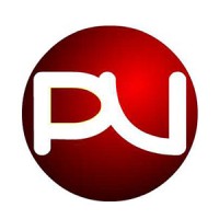 Pagos Virtuales Logo