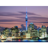 Auckland SEO Limited Logo