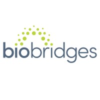 BioBridges Logo