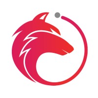 Expedition Insight Logo