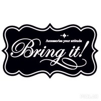 Bring It Accessories Logo