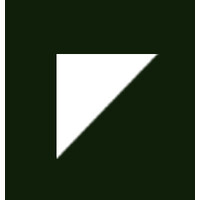 Nexu Consultoria Logo