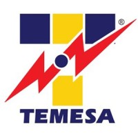 TEMESA Logo