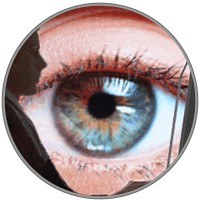 INSONA Author Alliance Logo