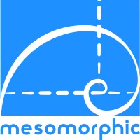 Mesomorphic Ltd Logo