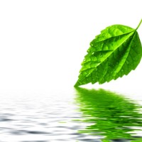 James Environmental Management, Inc. Logo