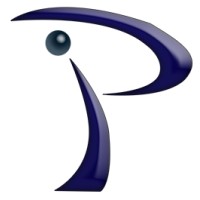 Palmersa Solutions S.A. de C.V. Logo