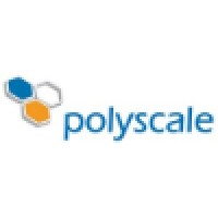 polyscale GmbH & Co. KG Logo
