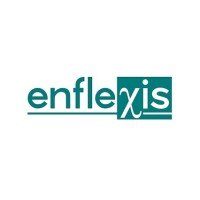 Enflexis Solutions Logo