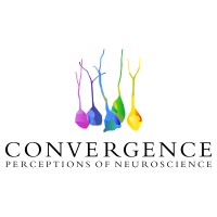 Convergence Initiative Logo