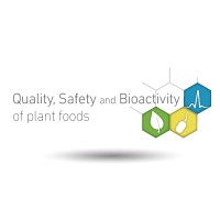 Cebas-Csic-Foods Logo