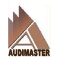 AUDIMASTER CONSULTORES E AUDITORES INDEPENDENTES Logo