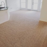 Absolute Carpet & Tile Logo