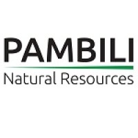 Pambili Natural Resources Corporation Logo