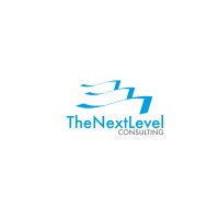 TheNextLevel Consulting Logo