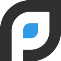 Paramount Consulting Logo