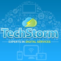 TechStorm Consulting Ltd-Experts in Digital Services Logo