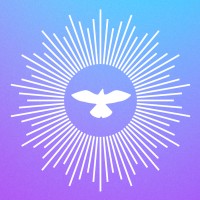 Magic Bird Logo