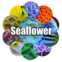 Seaflower Logo