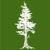 Jackpine Engineering Logo