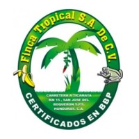 Finca Tropical S.A. de C.V. Logo