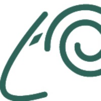 R.A.M. Srl Logo