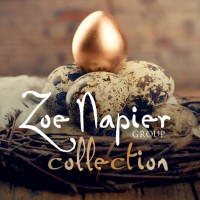 Zoe Napier Group Logo