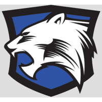 White Cat Security Labs Logo