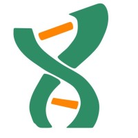 Datanet Solutions - Wien Logo