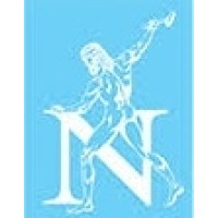 Gruppo Noesis Logo