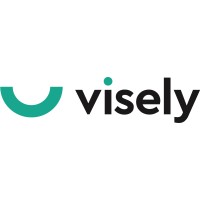 visely.io Logo
