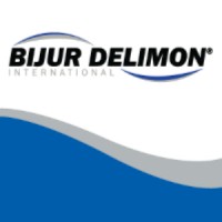Bijur Delimon International (France) Logo