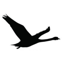 Cygnium Logo