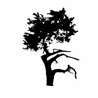 Salisbury Country Club Ltd. Logo
