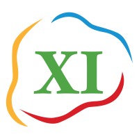 Eleven Systems - XI Logo
