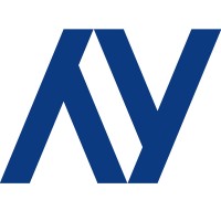YNET Consulting LLC Logo