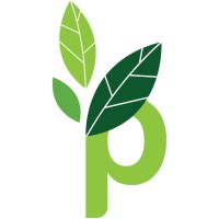 The Practice UK Logo