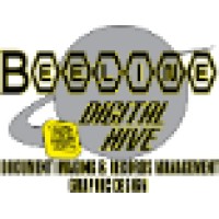 Beeline Digital Hive, LLC Logo