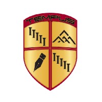 Tempus Business Strategists, LLC Logo